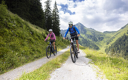 (c) Alpbachtal Tourismus Matthias Sedlack